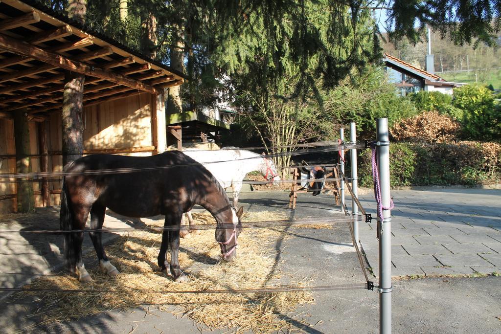Ferienhaus "Kleiner Onkel" Honerath Εξωτερικό φωτογραφία