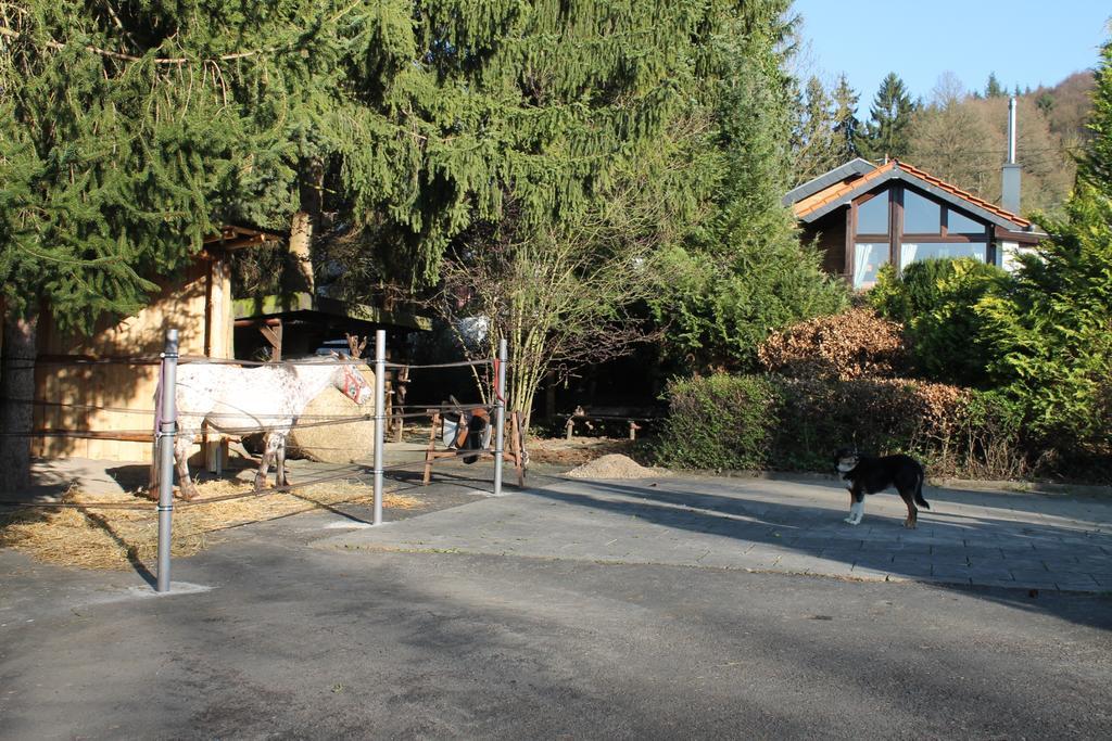 Ferienhaus "Kleiner Onkel" Honerath Εξωτερικό φωτογραφία